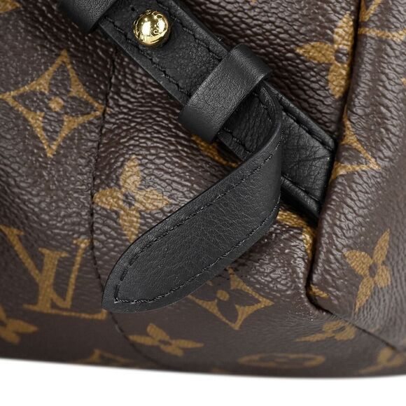 Louis Vuitton Palm Springs PM Rucksack Monogram Backpack - Picture 8 of 12